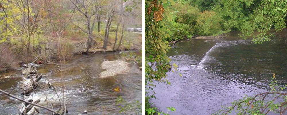 Dyerville Dam