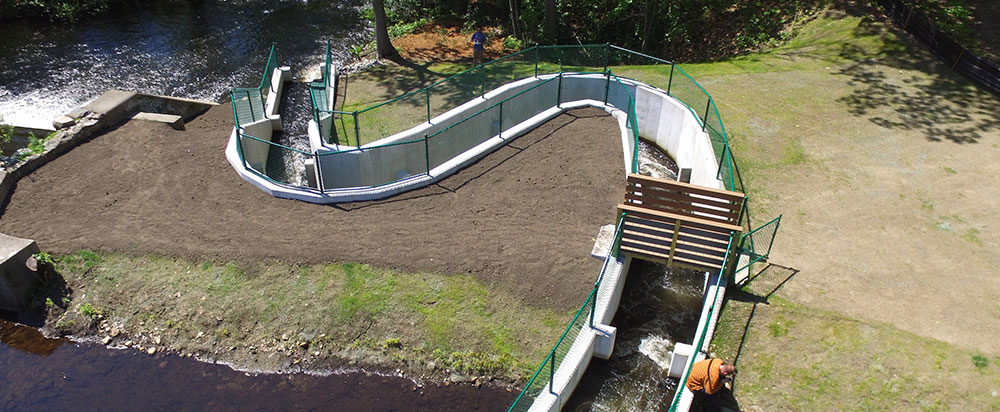 Manton Fish Ladder