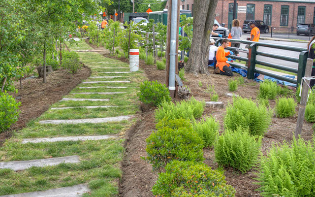 Black Locust Pocket Park