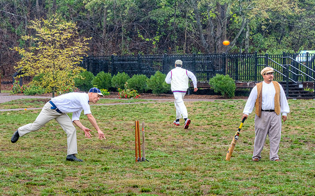 Cricket Field